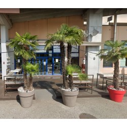 Mini Moment (A Breve...) - Serata Social MEETBAR a Vicenza [VI]