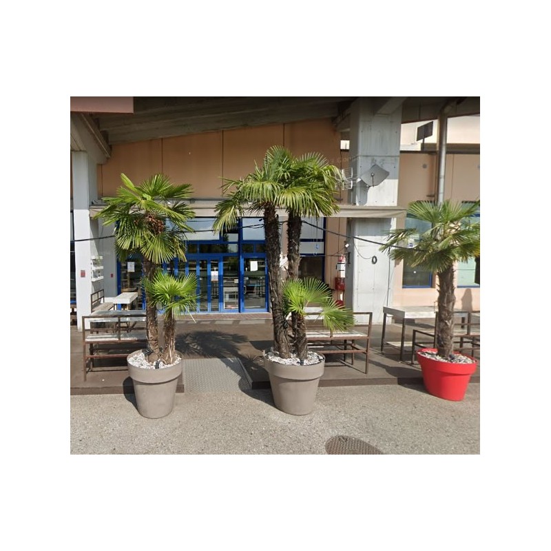 Mini Moment (A Breve...) - Serata Social MEETBAR a Vicenza [VI]