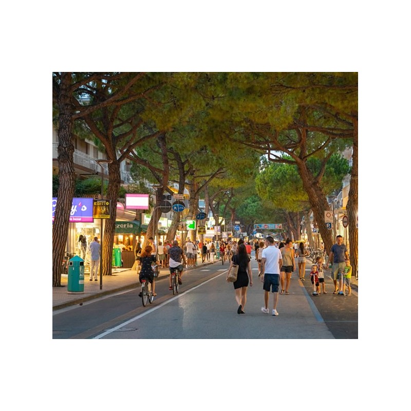 Lido di Jesolo (A Breve...) - Gita in Pullman e Pranzo Social MEETBAR